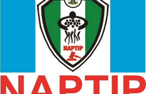 NAPTIP Raises Alarm Over Surge In Baby Factories, Buying, Selling Of Babies