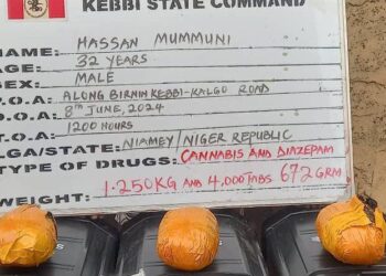 NDLEA Busts Codeine Shipment From India, US, UK-bound Opioids Concealed In Ladies Clothes, Synthetic Hair