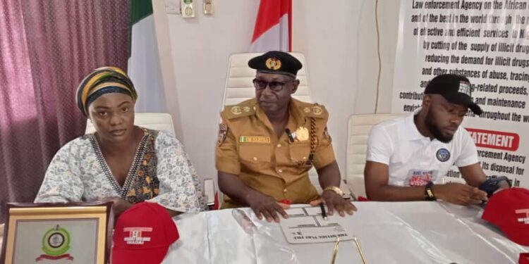 NDLEA Arrests 149 Suspects, Seizes 1.49 tons Of Illicit Drugs In Kogi