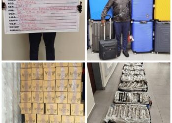 NDLEA Intercepts Illicit Drugs worth Over N2.1bln In Lagos, Rivers