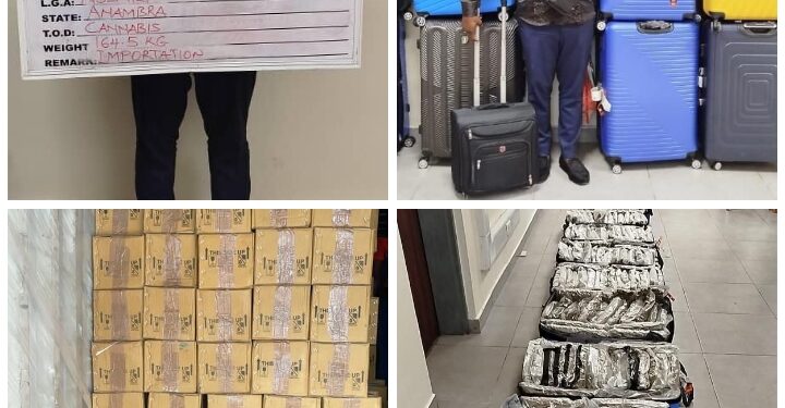 NDLEA Intercepts Illicit Drugs worth Over N2.1bln In Lagos, Rivers
