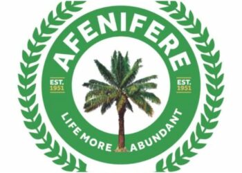 Afenifere Welcomes Supreme Court Judgment On LG Autonomy, Commends FG