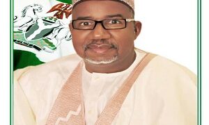 Bauchi To Shut Down All Health Centres During Protest – Official