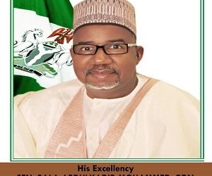 Bauchi To Shut Down All Health Centres During Protest – Official