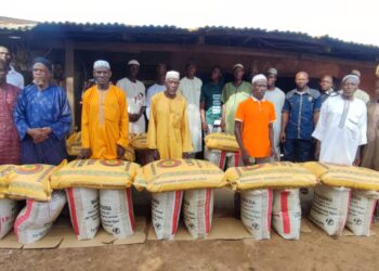 Rice Farmers Applaud Kwara Government Over Inputs Distribution