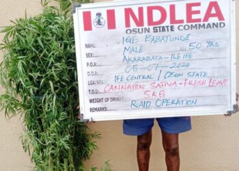 NDLEA Nabs Osun Traditional Ruler, Corps Member For Drug Trafficking