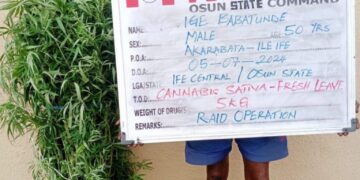NDLEA Nabs Osun Traditional Ruler, Corps Member For Drug Trafficking