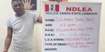 NDLEA Nabs Lagos Most Wanted Drug Baron, Temo