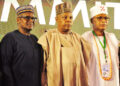 Global Economic Downturn : Dangote Calls On FG To Protect Local Industries
