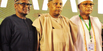 Global Economic Downturn : Dangote Calls On FG To Protect Local Industries