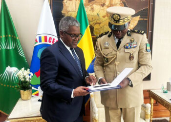 President Nguema Of Gabon Seeks Dangote’s Investment In Cement, Fertiliser Production