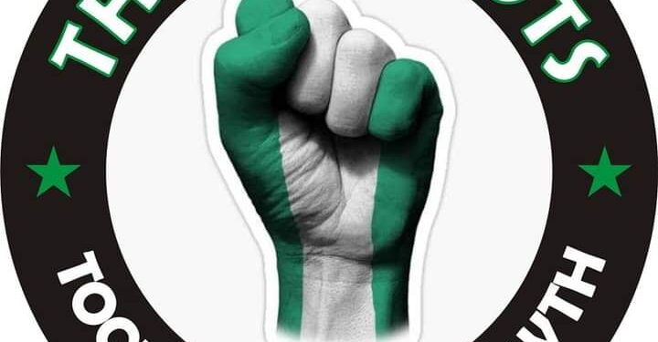 A New Constitution, A Must For Nigeria, The Patriots Insist