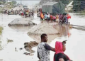 49 Dead, 41,344 Others Displaced By Floods In Adamawa, Taraba, Jigawa – NEMA