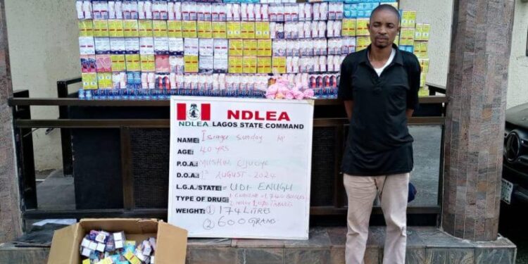 NDLEA Intercepts UK, US Bound Drug Consignments Concealed In Baby Food Tins, Cloths