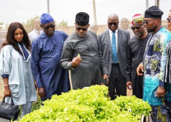 Abiodun Suggests Establishment Of More Farm Settlements To Achieve Food Sufficiency