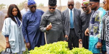 Abiodun Suggests Establishment Of More Farm Settlements To Achieve Food Sufficiency