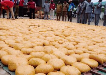 Customs Intercepts Cannabis Worth N57.6mln In Kwara