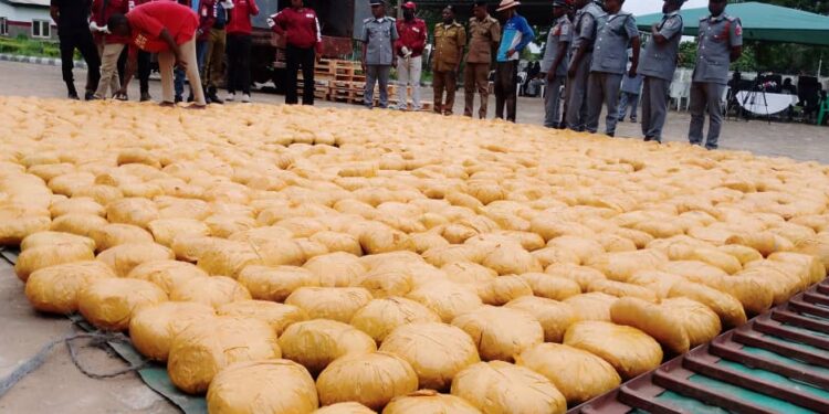 Customs Intercepts Cannabis Worth N57.6mln In Kwara