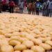 Customs Intercepts Cannabis Worth N57.6mln In Kwara