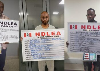 Vietnam-Bound Businessman In NDLEA Net, Excretes 88 Wraps Of Cocaine