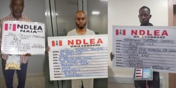Vietnam-Bound Businessman In NDLEA Net, Excretes 88 Wraps Of Cocaine