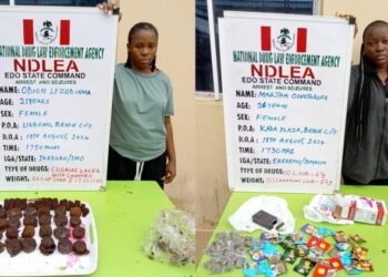 NDLEA Bursts 5-Member Female Cross-Border Drug Traffickers, Seizes N2.2billion Worth Of Codeine At Lagos Port