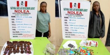 NDLEA Bursts 5-Member Female Cross-Border Drug Traffickers, Seizes N2.2billion Worth Of Codeine At Lagos Port