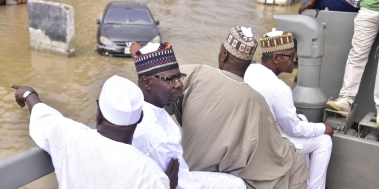 Aliko Dangote Foundation Donates N1bln To Maiduguri Flood Victims
