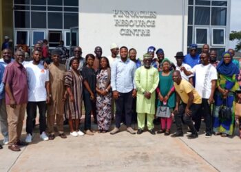 Prioritize Planning, Resilience, SMEDAN Urges Entrepreneurs