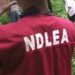 LG Poll : 20 NNPP Chairmanship Candidates Test Positive For Drugs In Kano – NDLEA