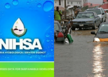 NISHA Says No Cause For Alarm As Cameroon Opens Lagdo Dam