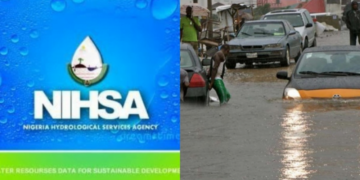 NISHA Says No Cause For Alarm As Cameroon Opens Lagdo Dam