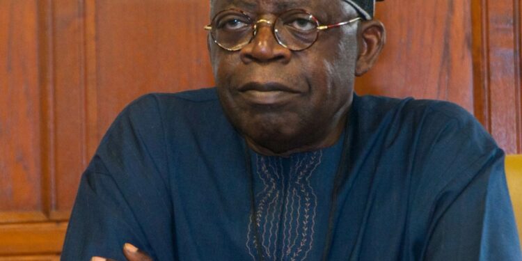 Nigeria’s Economy Not dysfunctional, Transiting To Another Model – IMPI