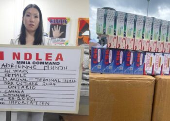 NDLEA Intercepts Opioids Worth N9billion In Rivers, Arrests Canadian Lady For Importing Loud Into Nigeria