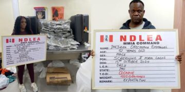 NDLEA Arrests Two Businessmen, Canada-based Female Nurse Over Cocaine,Loud