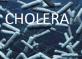 Cholera Ravages 10 LGAs In Kebbi, 24 Dead, 875 Cases Recorded
