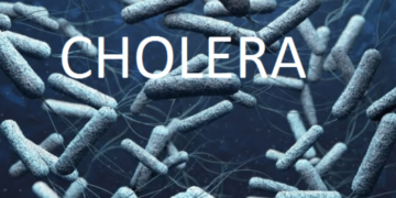 Cholera Ravages 10 LGAs In Kebbi, 24 Dead, 875 Cases Recorded