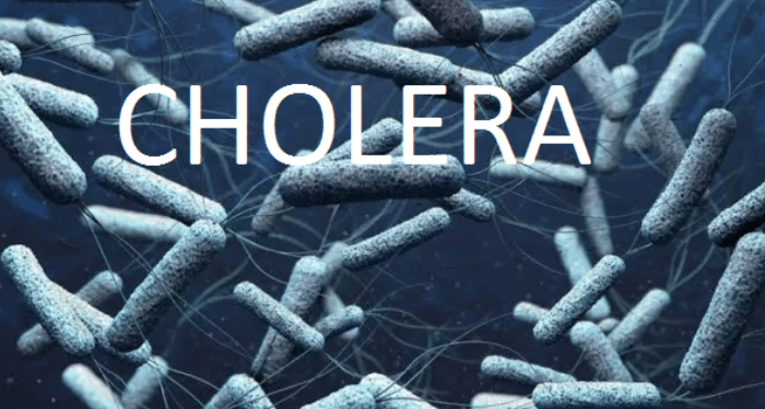 Cholera Ravages 10 LGAs In Kebbi, 24 Dead, 875 Cases Recorded