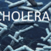 Cholera Ravages 10 LGAs In Kebbi, 24 Dead, 875 Cases Recorded