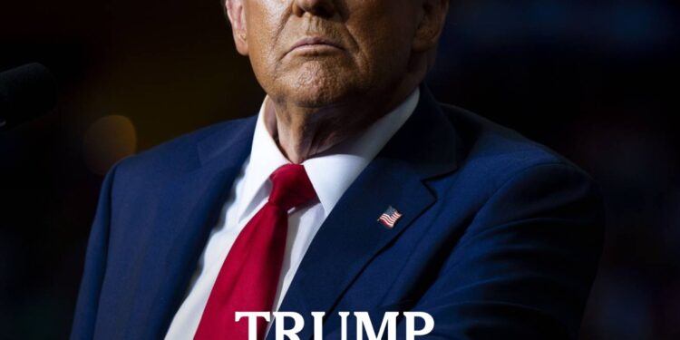 How Donald Trump Fights His Way Back Into Power