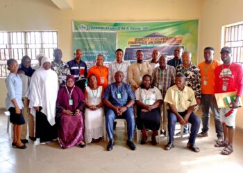 SON Warns Nigerians Against Patronising Fake Batteries