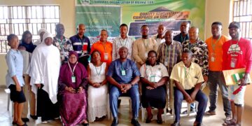 SON Warns Nigerians Against Patronising Fake Batteries