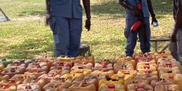 In Crackdown On Fuel Smuggling, Operation Whirlwind Seizes N84.8mln Worth Of PMS Along Kwara-Niger Border