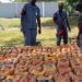 In Crackdown On Fuel Smuggling, Operation Whirlwind Seizes N84.8mln Worth Of PMS Along Kwara-Niger Border
