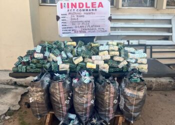 NDLEA Recovers Cocaine Worth N4.4bln From Ethiopia Airline Aircraft, Grills 30 Suspects Over Seizure