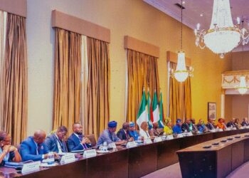 South Africa Backs Nigeria’s Bid To Join G20, Eyes Lithium For Electric Vehicle Revolution