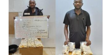 NDLEA Arrests Businessman At Kano Airport For Cocaine Smuggling