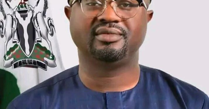 FG Deports 828 Illegal Immigrants In 2024