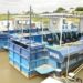 NIWA Targets N34.39bln Revenue In 2025