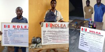 NDLEA Foils Attempt To Import 3.50kg Drug To UK, Arrests Two Suspects